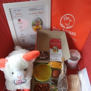 isi box paket aqiqah gulai sate